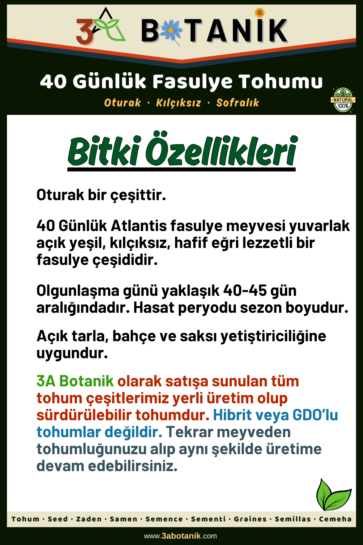 40%20Günlük%20Oturak%20Fasulye%20Tohumu,%20Yerli%20ve%20Sürdürülebilir%20Tohum