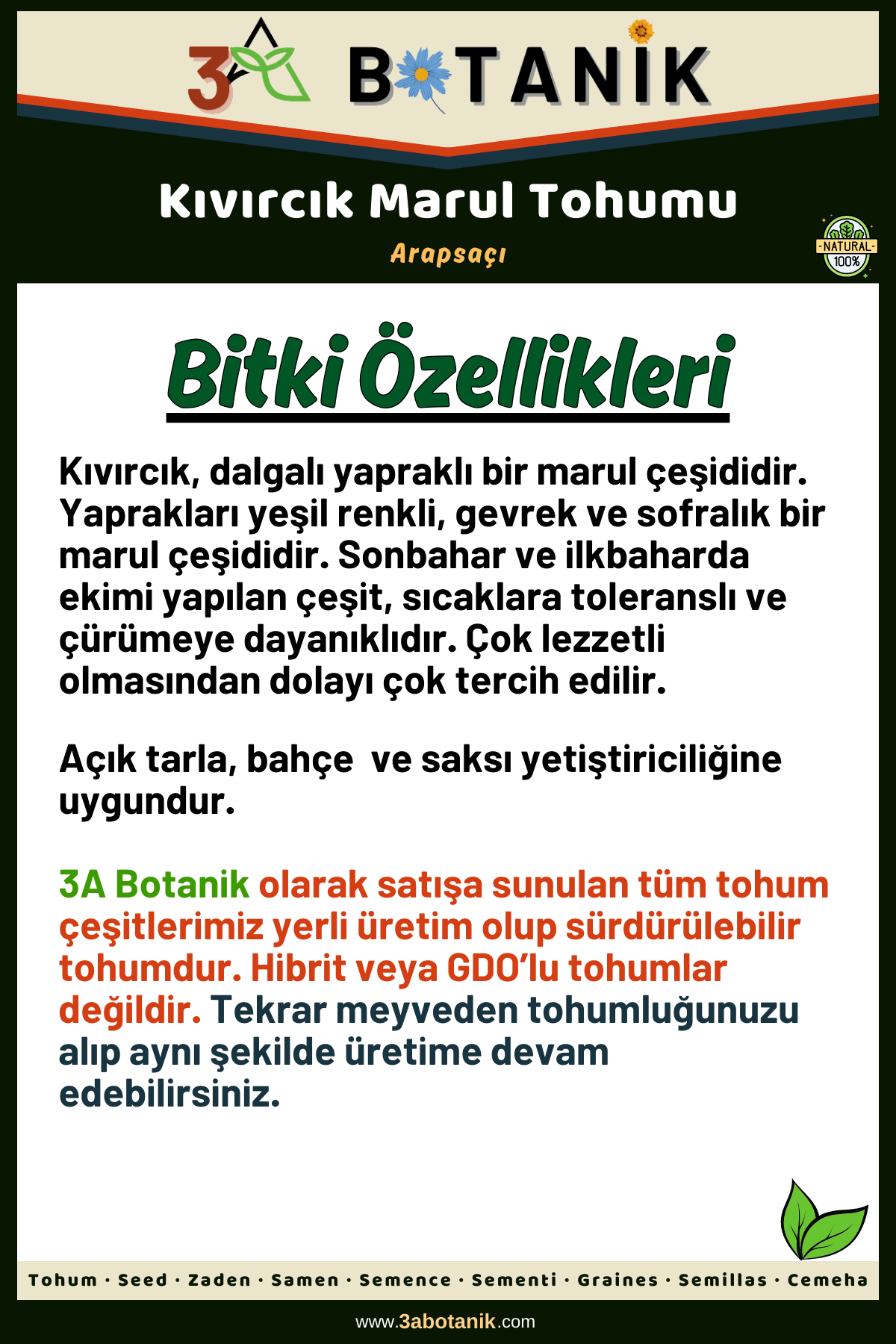 Kıvırcık%20Marul%20Tohumu,%20Yerli%20ve%20Sürdürülebilir%20Tohum