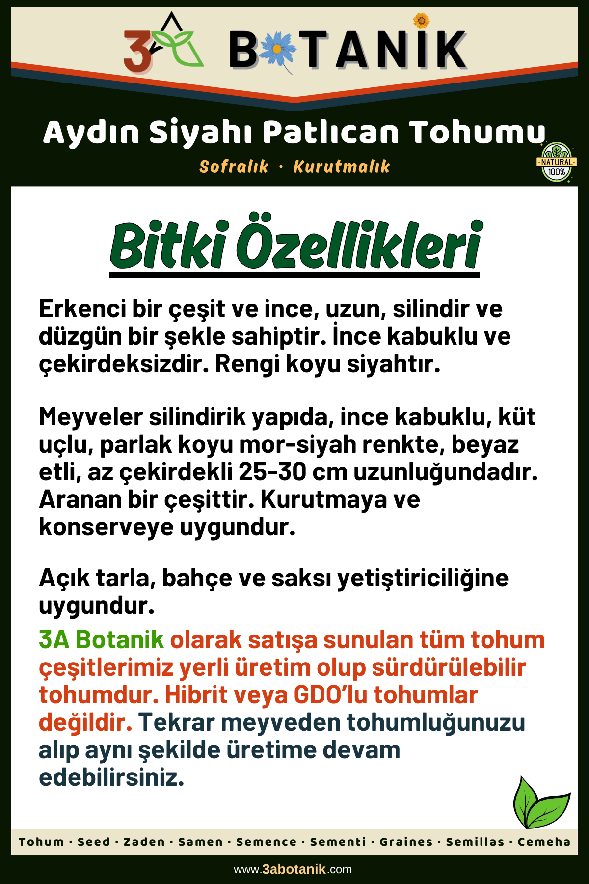 Aydın%20Siyahı%20Patlıcan%20Tohumu,%20Yerli%20ve%20Sürdürülebilir%20Tohum