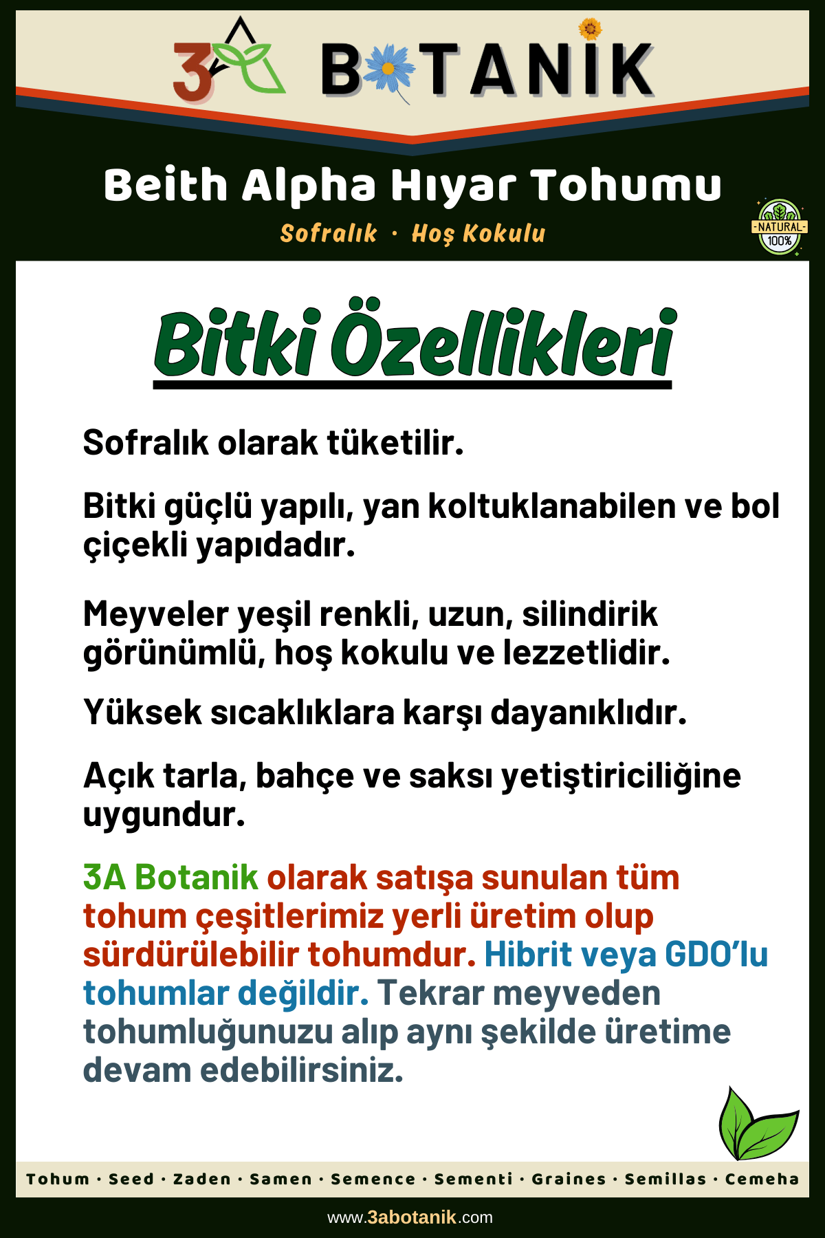 Beith%20Alpha%20Hıyar%20(Salatalık)%20Tohumu,%20Yerli%20ve%20Sürdürülebilir%20Tohum