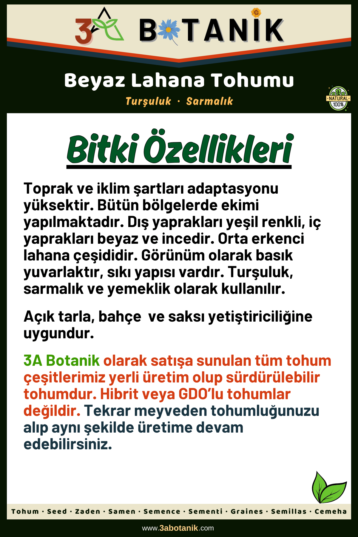 Beyaz%20Lahana%20Tohumu,%20Yerli%20ve%20Sürdürülebilir%20Tohum