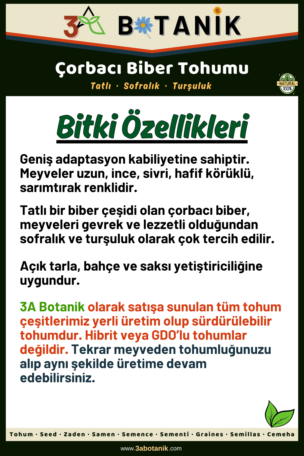 Çorbacı%20Biber%20Tohumu,%20Yerli%20ve%20Sürdürülebilir%20Tohum