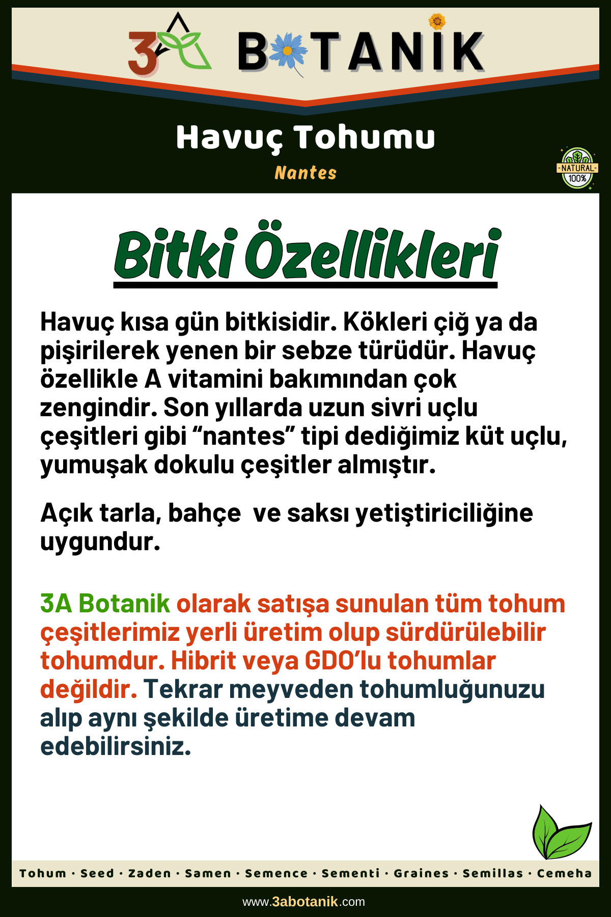 Havuç%20Tohumu,%20Yerli%20ve%20Sürdürülebilir%20Tohum