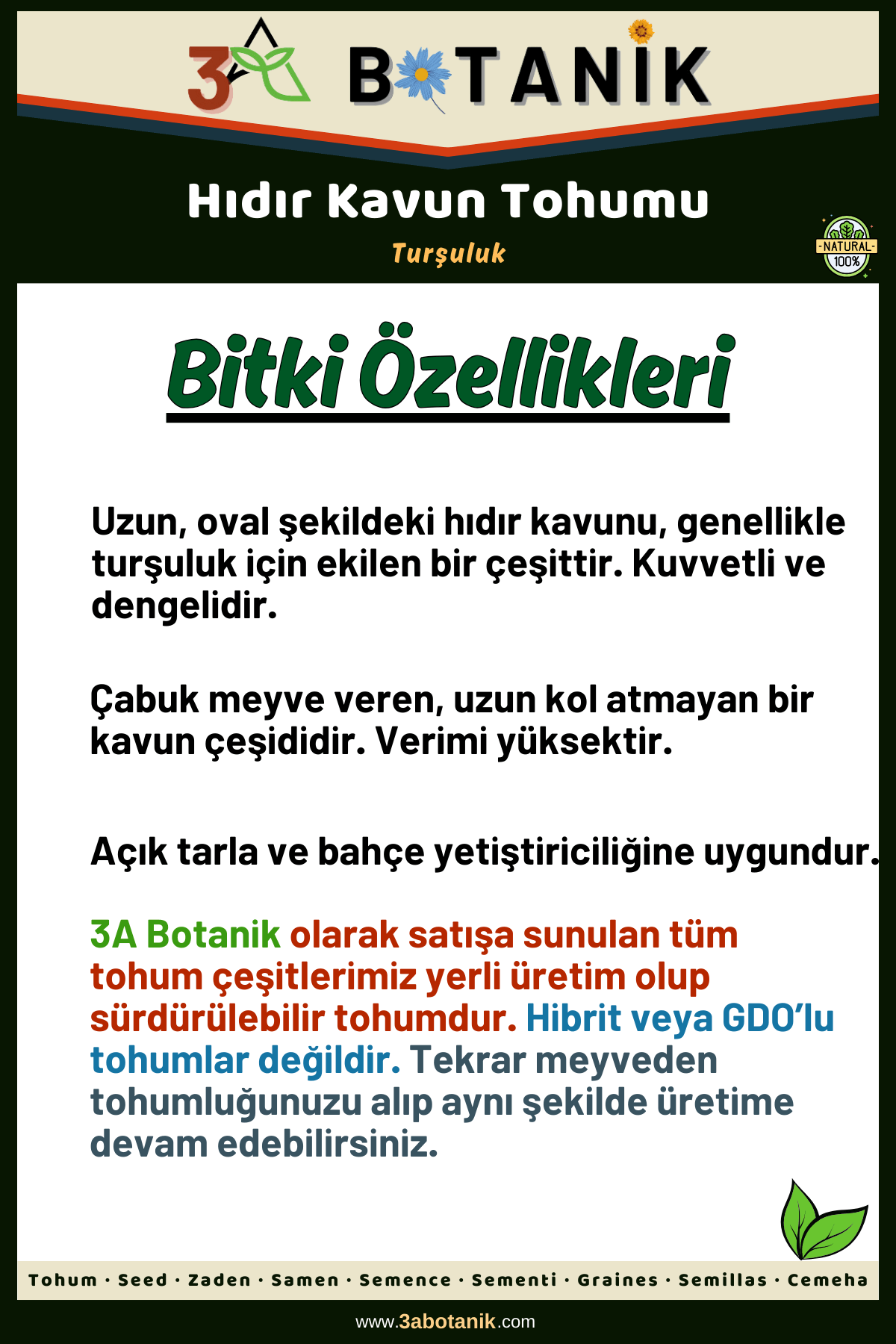 Hıdır%20Kavun%20Tohumu,%20Yerli%20ve%20Sürdürülebilir%20Tohum