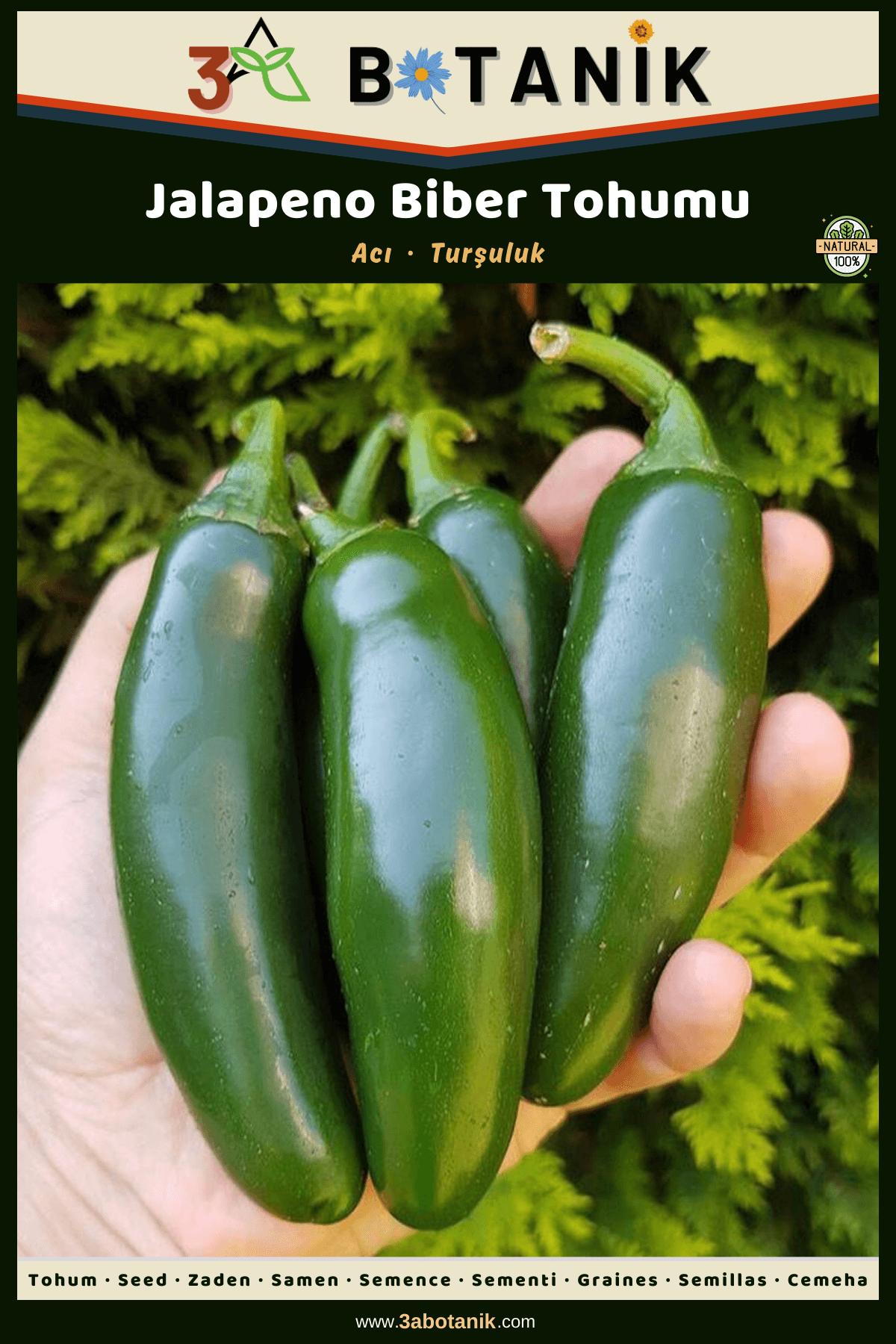 Jalapeno%20Biber%20Tohumu,%20Yerli%20ve%20Sürdürülebilir%20Tohum