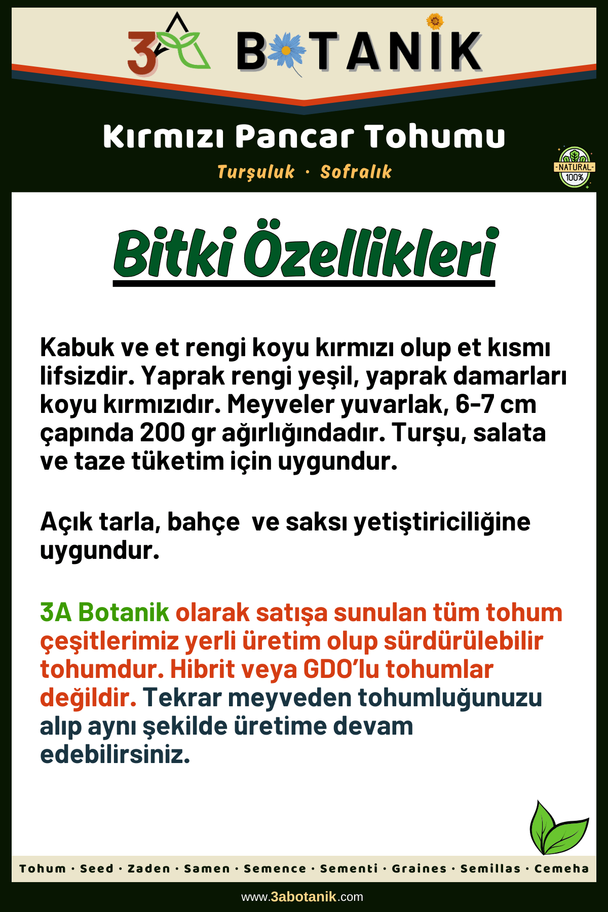 Kırmızı%20Pancar%20Tohumu,%20Yerli%20ve%20Sürdürülebilir%20Tohum