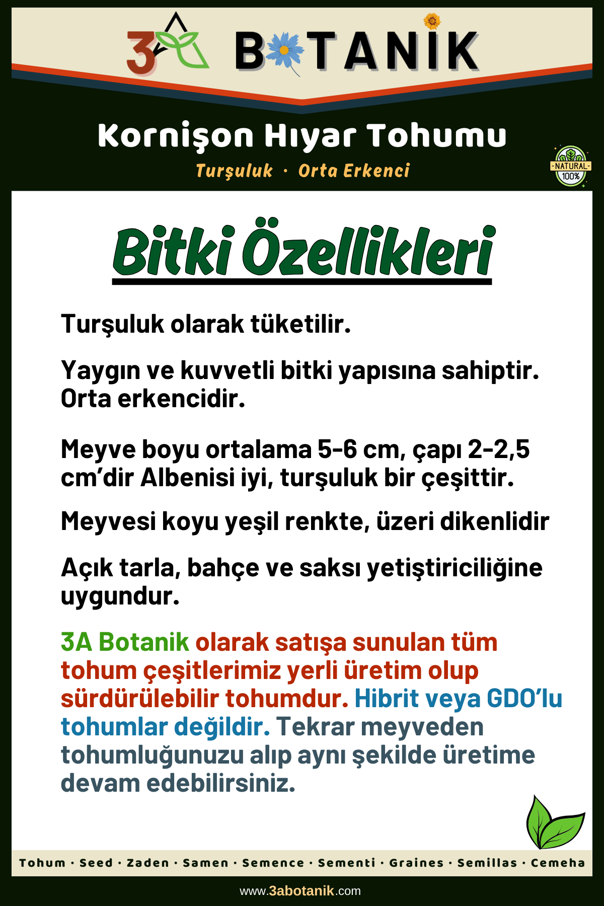 Kornişon%20Hıyar%20(Salatalık)%20Tohumu,%20Yerli%20ve%20Sürdürülebilir%20Tohum