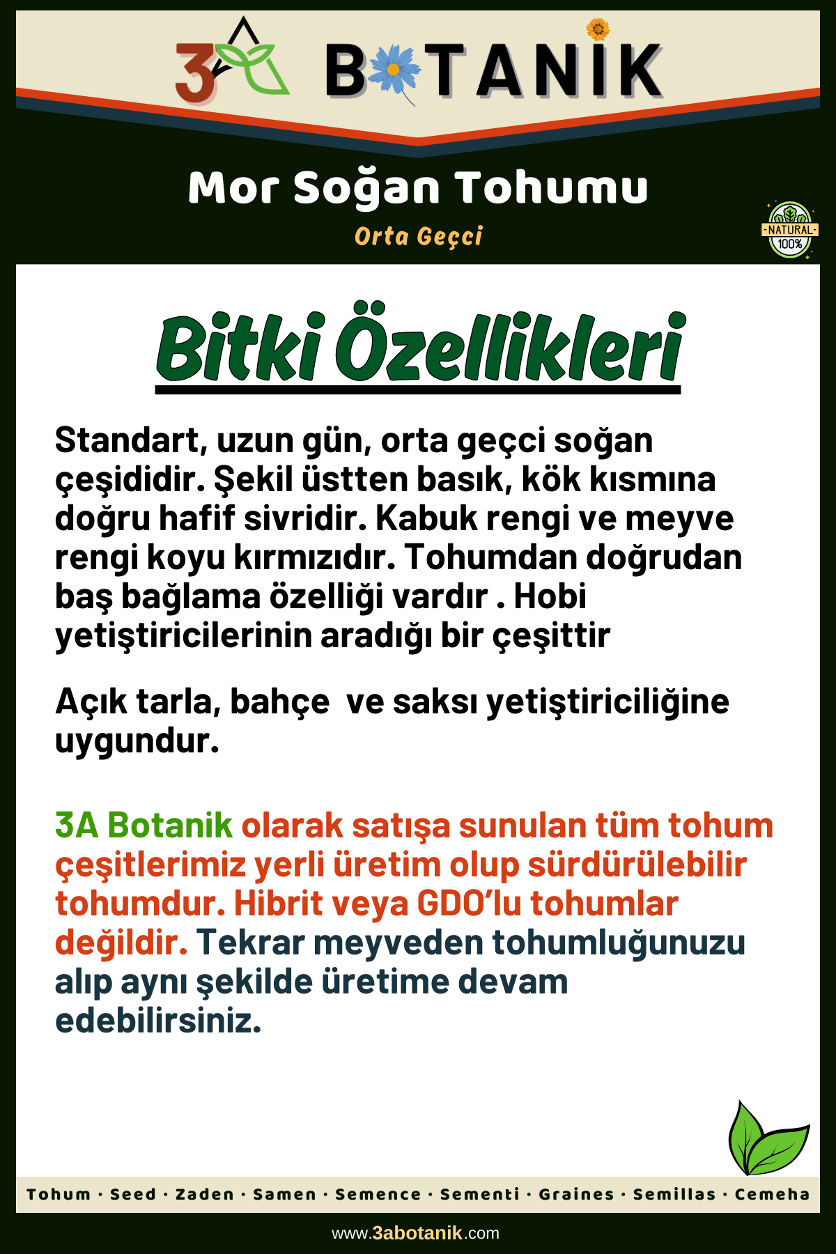 Mor%20Soğan%20Tohumu,%20Yerli%20ve%20Sürdürülebilir%20Tohum