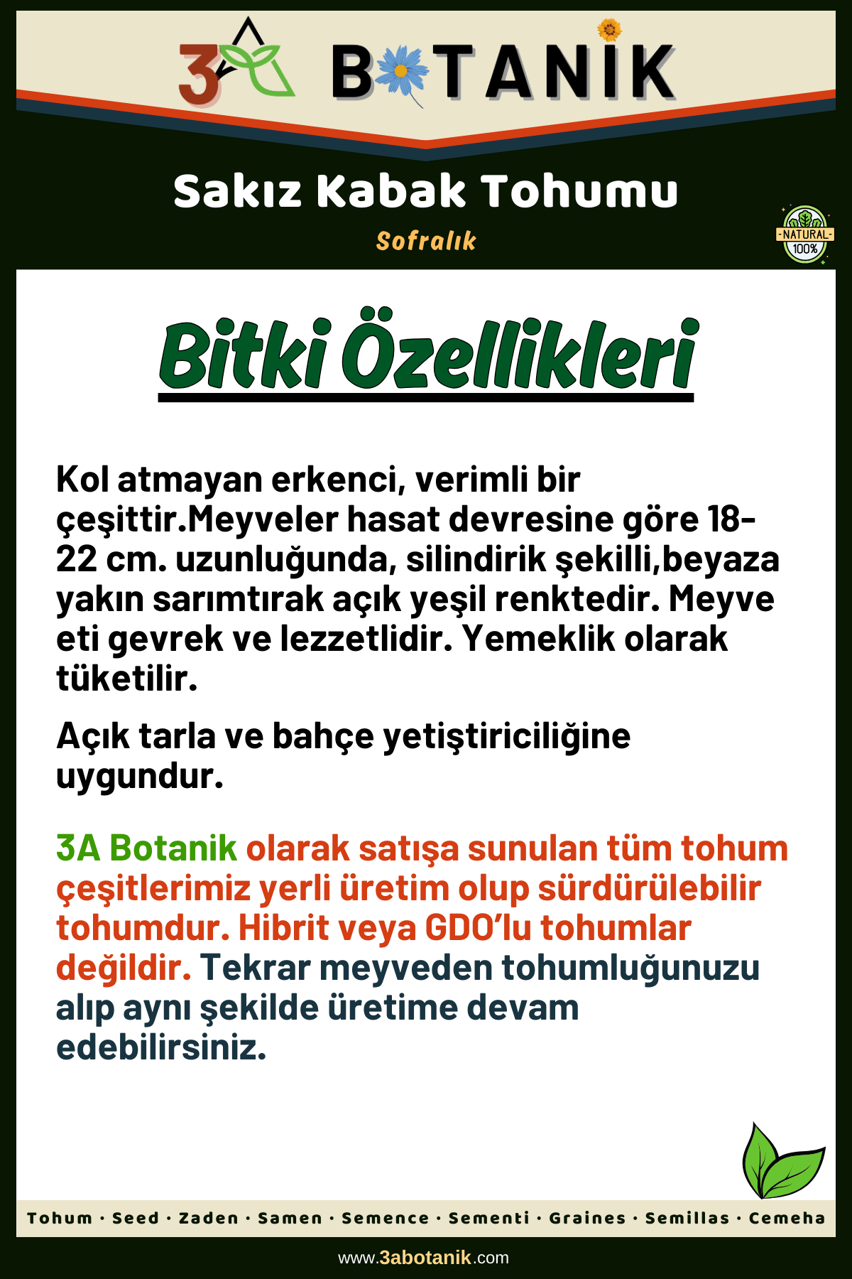 Beyaz%20Sakız%20Kabak%20Tohumu,%20Yerli%20ve%20Sürdürülebilir%20Tohum