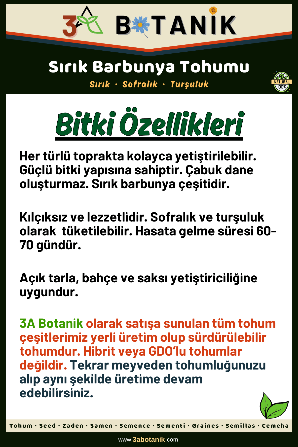 Sırık%20Barbunya%20Tohumu,%20Yerli%20ve%20Sürdürülebilir%20Tohum