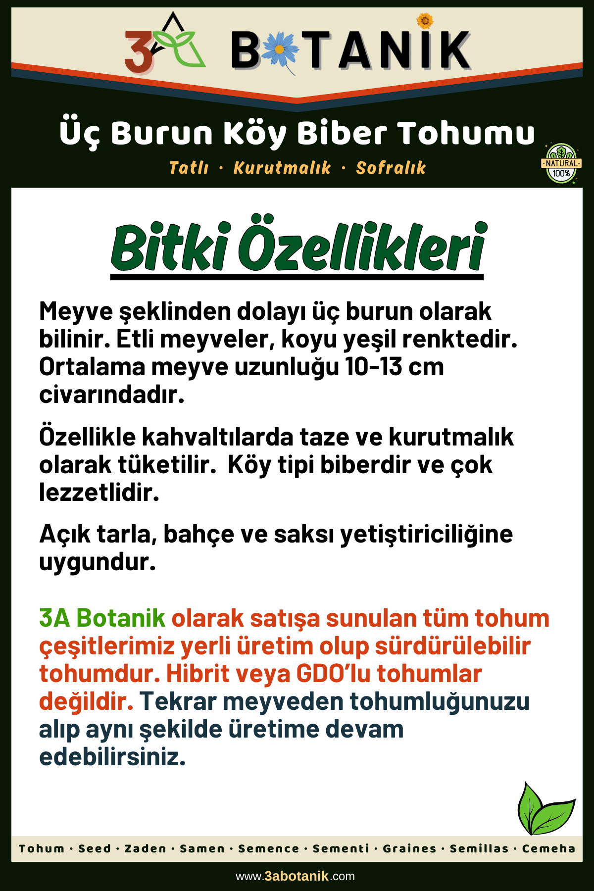 Üç%20Burun%20Köy%20Biber%20Tohumu