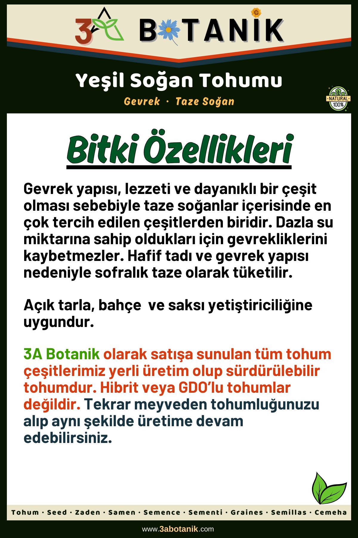 Yeşil%20Soğan%20Tohumu,%20Yerli%20ve%20Sürdürülebilir%20Tohum